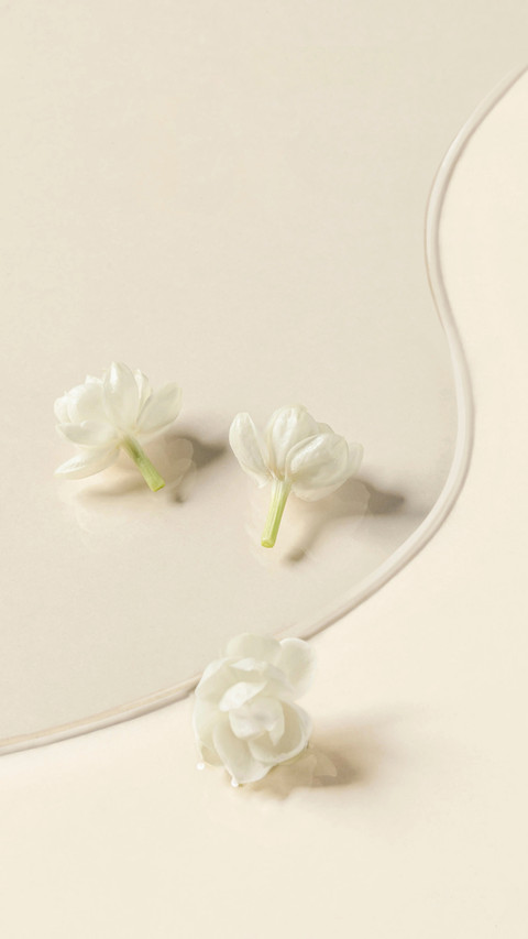 White Petal Aromatherapy essence Liquid screenshot