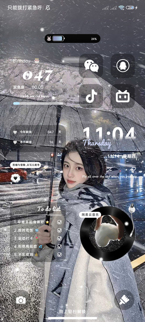 双模式 雪落年年 screenshot
