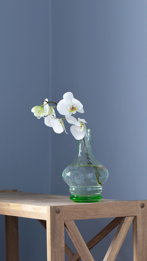 White orchid in vintage glass vase on wooden shelf screenshot