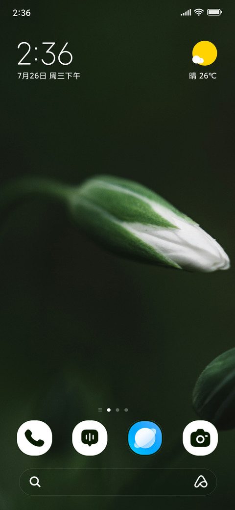 Ivory Bud screenshot