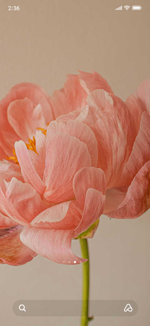 Blossom screenshot