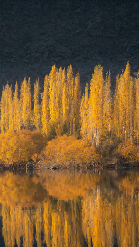The vast golden autumn by the lakeside on the plateau screenshot