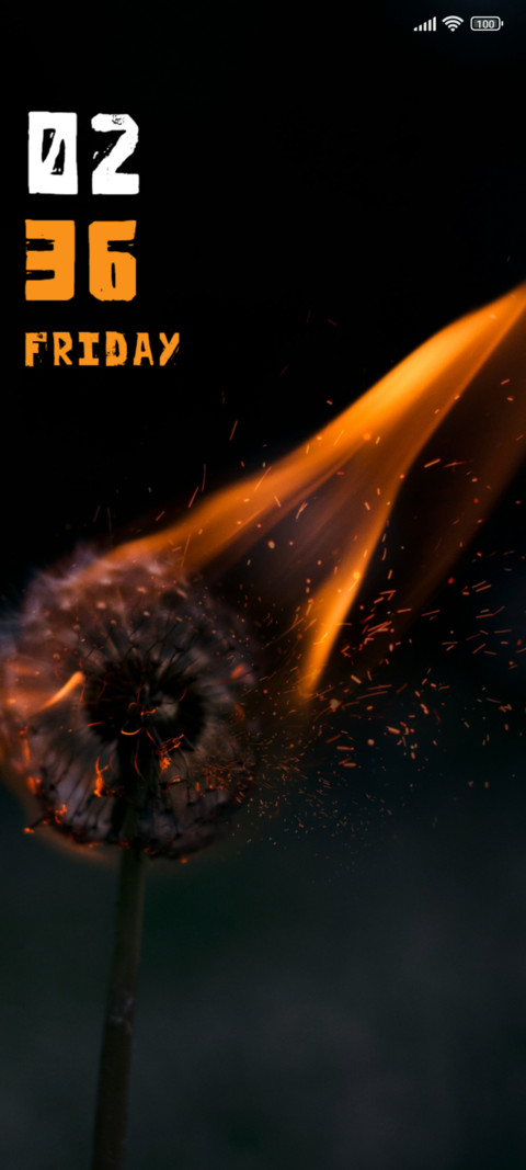 Dandelion screenshot