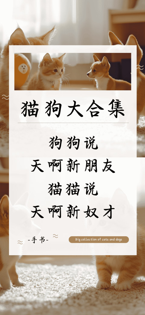 猫狗大合集 screenshot