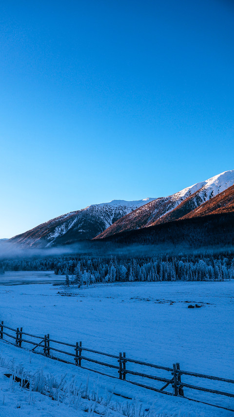 Early morning winter pasture snow capped mountains screenshot