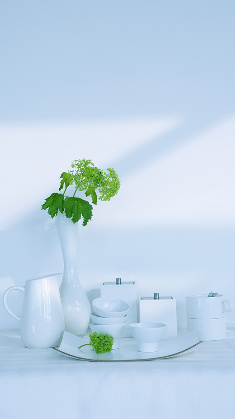 India-tableware screenshot