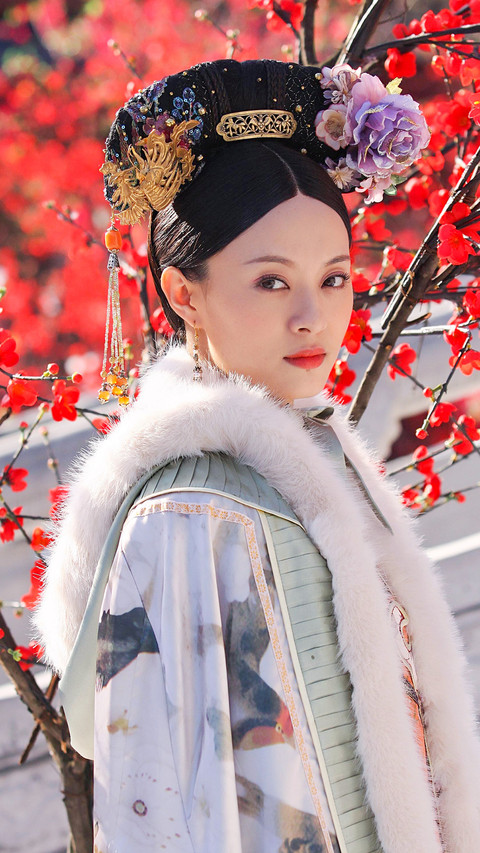 后宫经典《甄嬛传》 screenshot