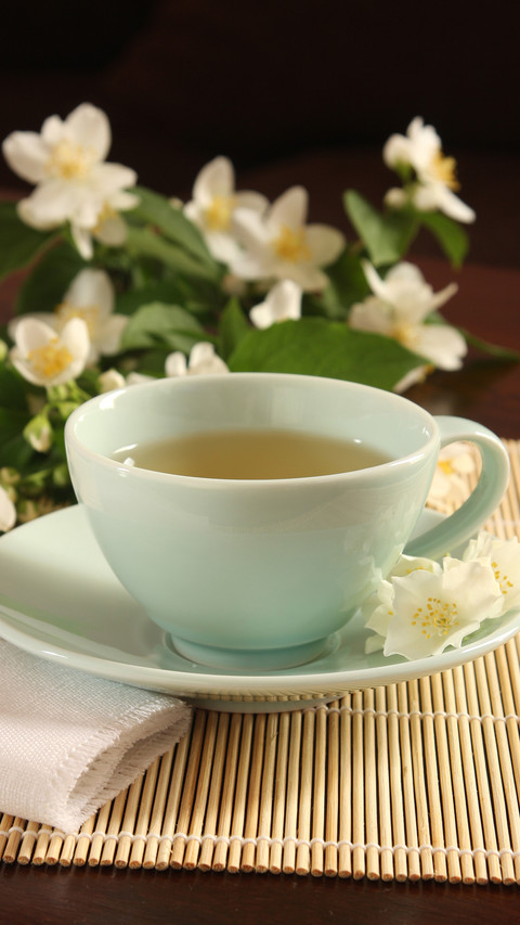 茉莉花茶 screenshot