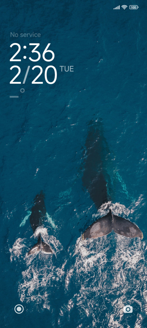 swim screenshot