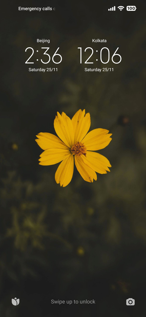 BULB screenshot