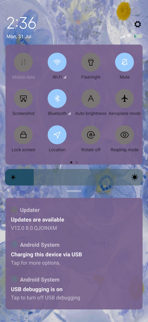 The flower  screenshot