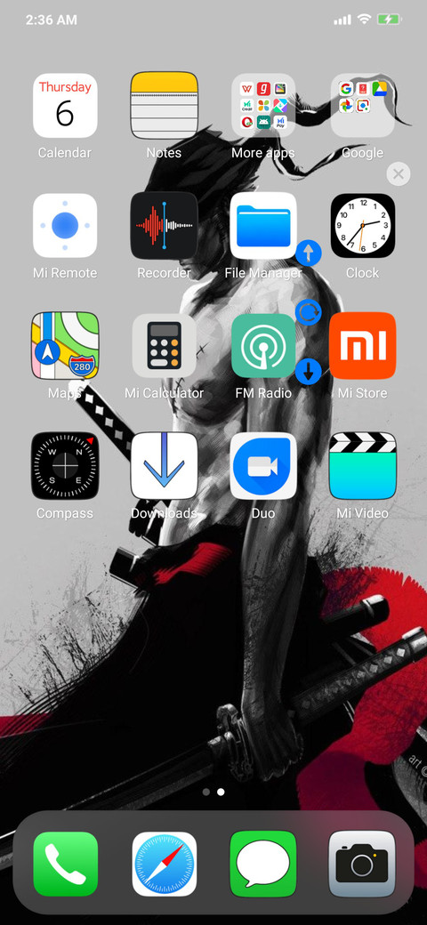 iOs 14.1 v11 screenshot