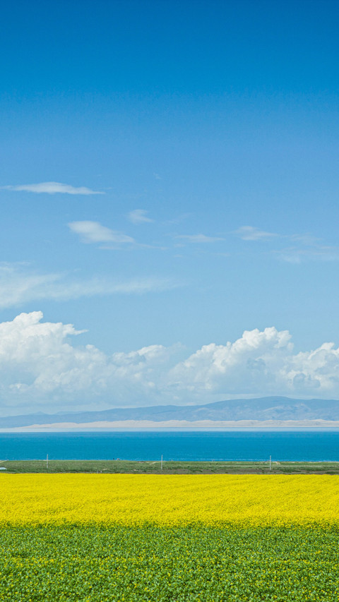 Colors of Qinghai Lake screenshot