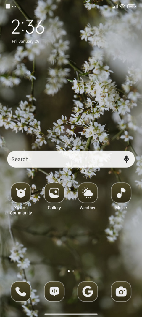 Tree Blossoms screenshot