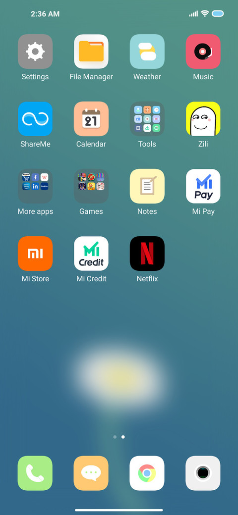 Flower v12 screenshot