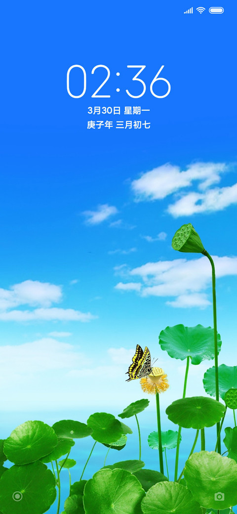 绿荷 screenshot