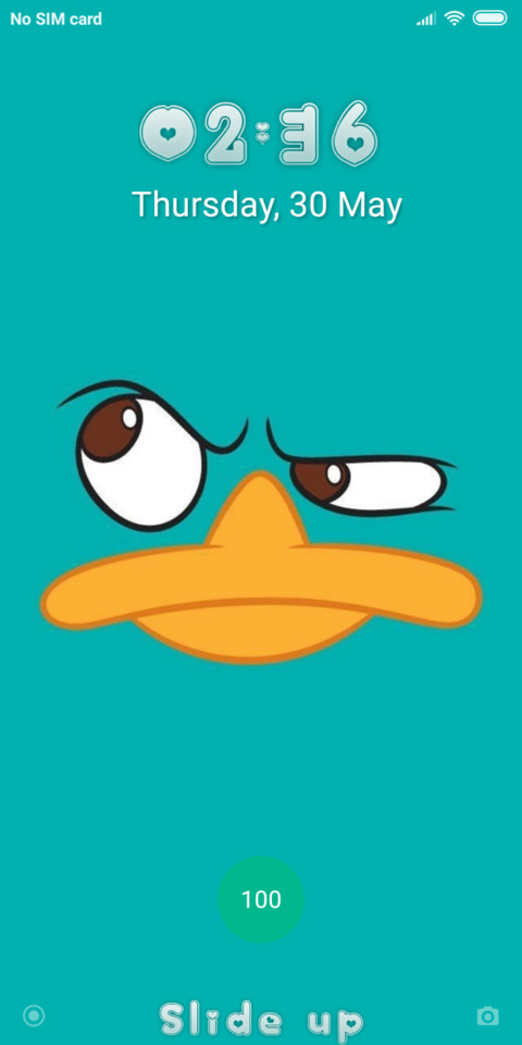 the platypus_DWM19 screenshot