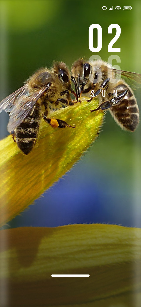 Bees screenshot