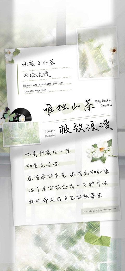 唯独山茶极致浪漫 screenshot