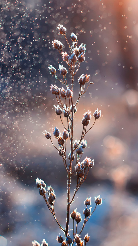 Winter scenery-04 screenshot