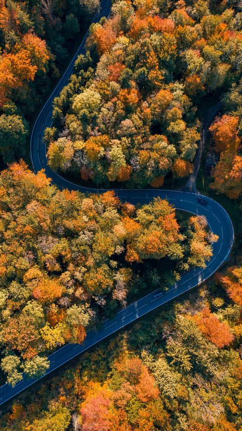 Routes suitable for self driving in autumn 62 screenshot