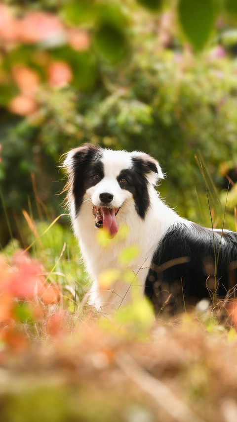 VCG211272502514 screenshot