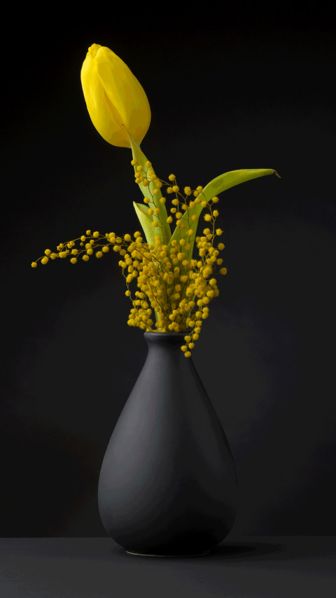 Still life of plants screenshot