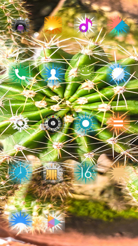 Cactus_DWM2 screenshot
