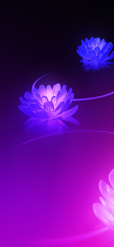 Purple Flowers V2 screenshot