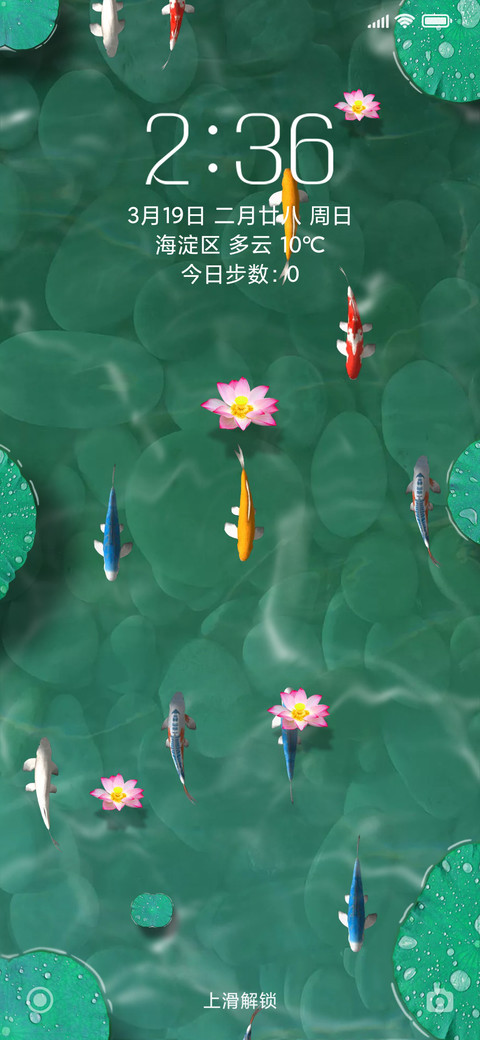 锦鲤荷塘 screenshot