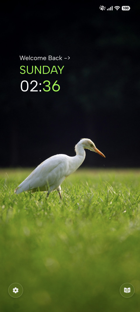 White Bird screenshot