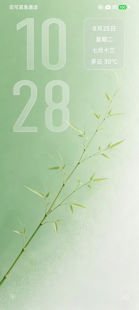 简约雅致 screenshot