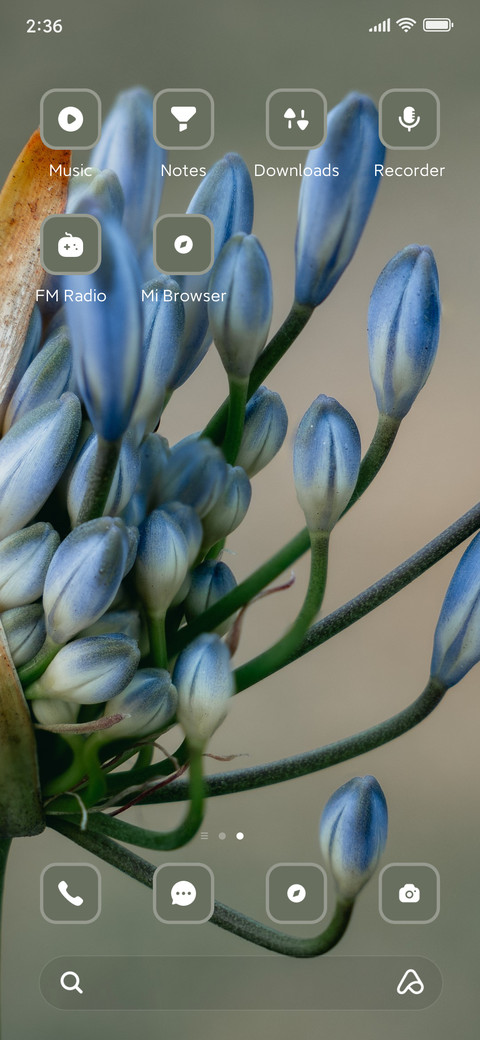 Bud screenshot