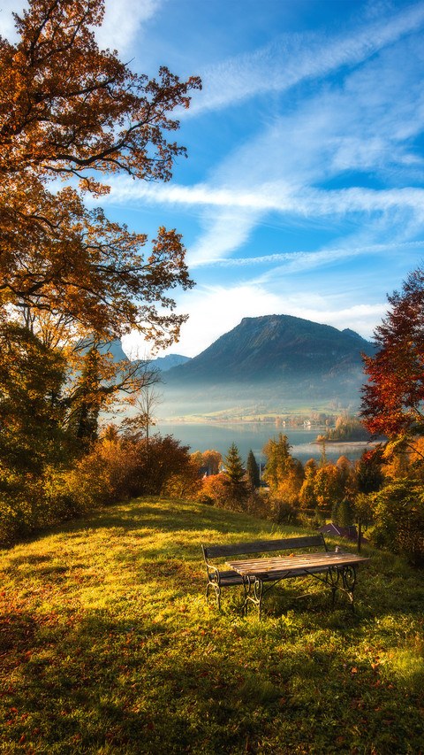 The lawn under the autumn sun screenshot