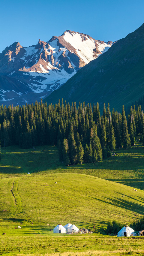 Southern and Northern Xinjiang are paradise 92 screenshot