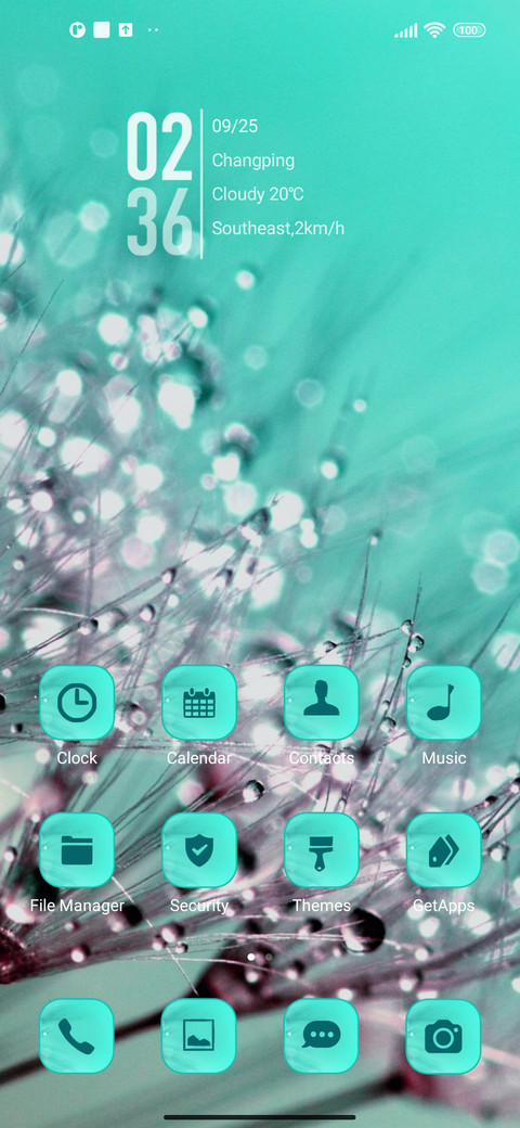 nature dandelion screenshot