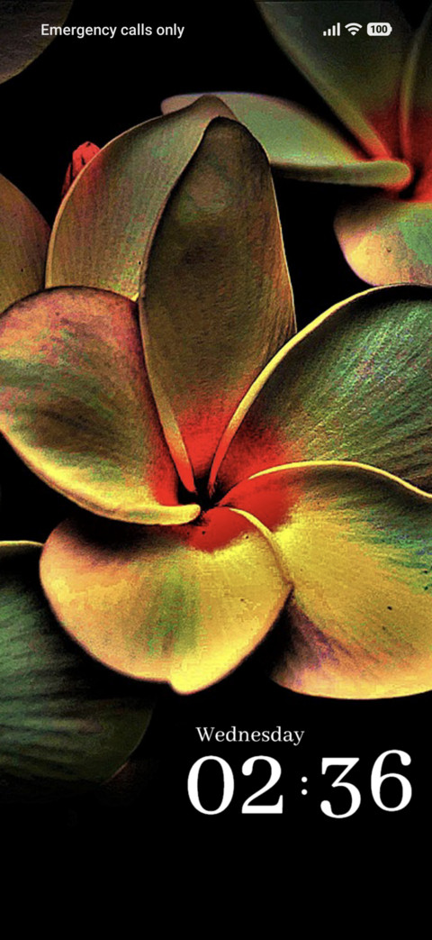 Floral Art screenshot