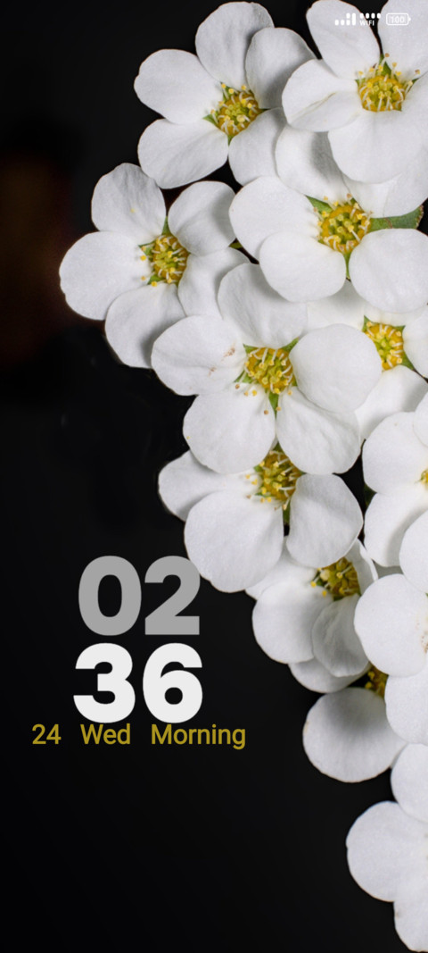 White Petals screenshot