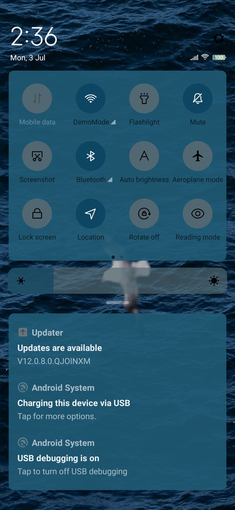 Gull Dreams screenshot