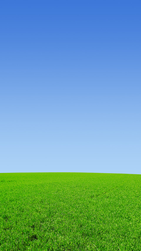 Green eye protection prairie wallpaper screenshot
