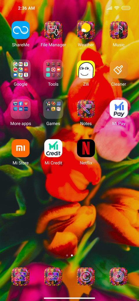 Tulip Vibrance screenshot