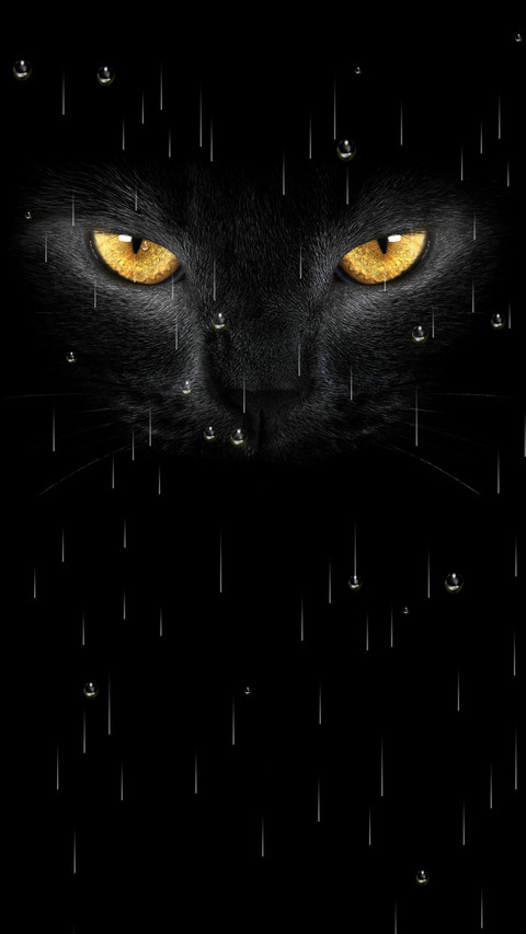 夜猫子 screenshot
