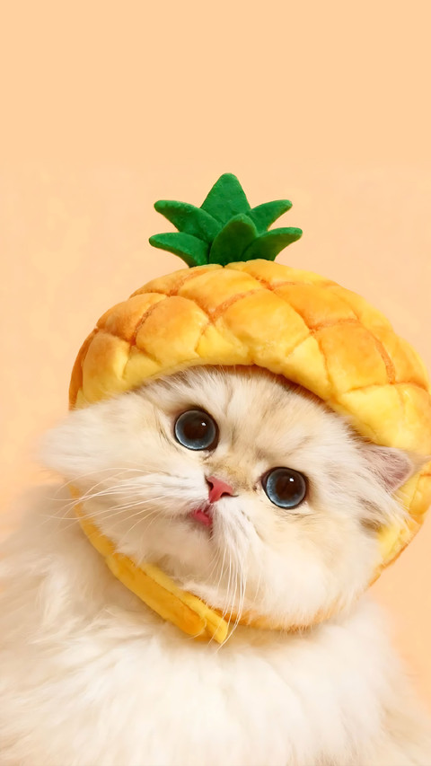“猫生圆满”的美食 screenshot