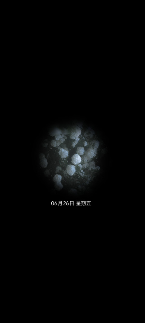 椿夏绣球花 screenshot