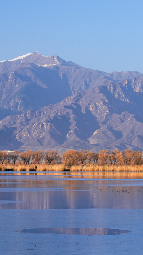 Wild duck lake in winter screenshot