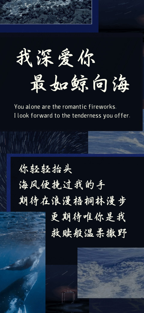 我深爱你最如鲸向海 screenshot