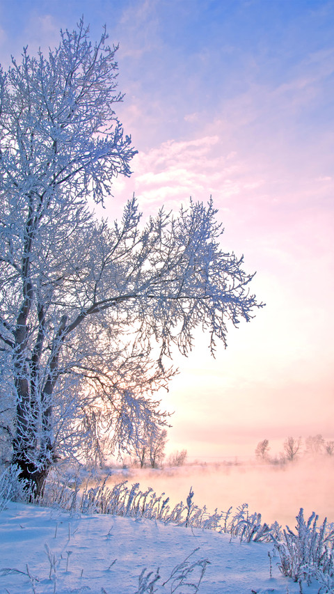 Winter scenery screenshot