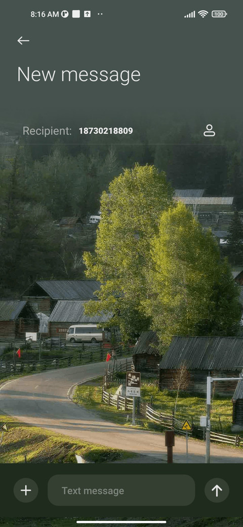 northern Xinjiang screenshot