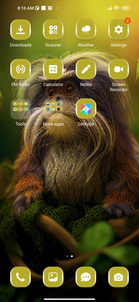 Tamarin Monkey screenshot
