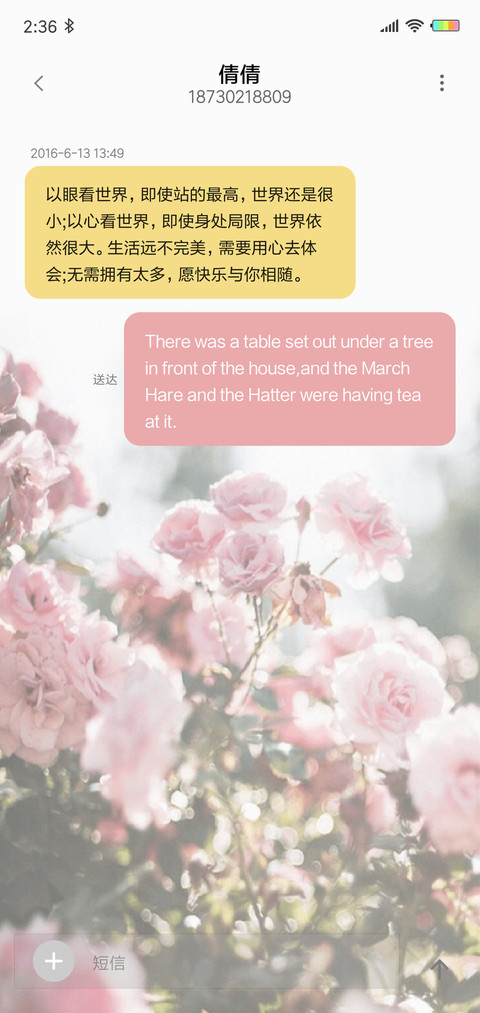 钢琴键 花G screenshot